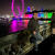 Syed_Shamas25