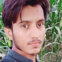 Mohsin____Ali  