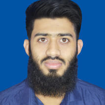 Mdsalauddin1590  