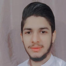 Hamza2208  