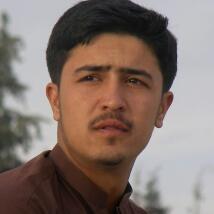 Walikhan17  