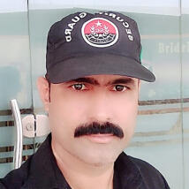 Kamranalimemon  