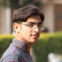 Hamza1_naqvi  