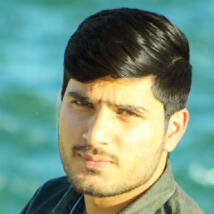 AWAIS0302  