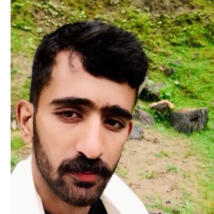 shehzadhassan162  