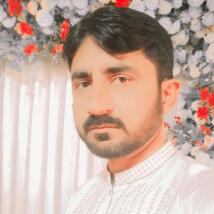 Tariqjaved3556  