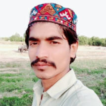 FarazAlifarooq  