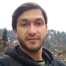 FerOz28  