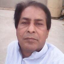 alimemon  