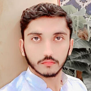 Shahzad________N