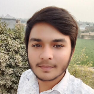 FaizanMalik005