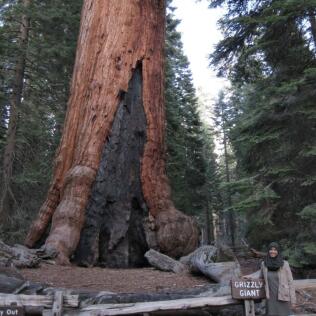 Yosemite