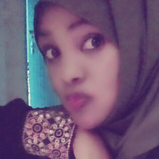 halimzibrahim333