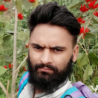 ShahNawaz2212