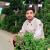  Noman_7 